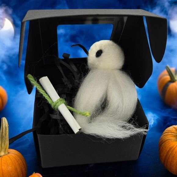 Adopt a Ghost Gift Box Novelty Spooky Halloween Gothic Fun Unique BFF Present - Picture 5 of 8